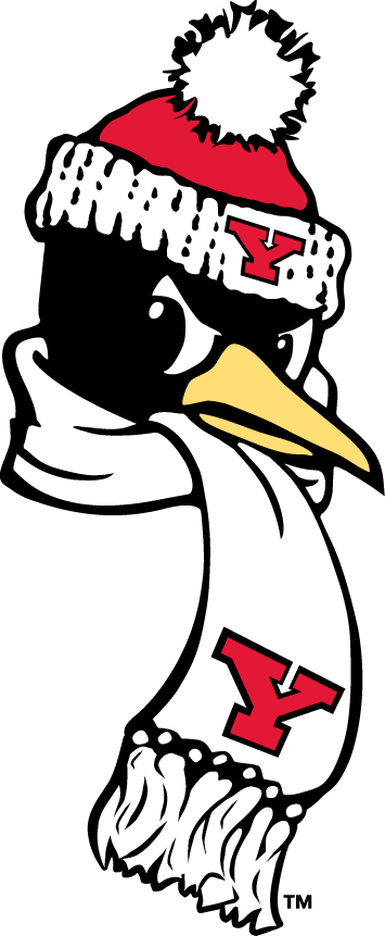 Youngstown State Penguins 1993-Pres Alternate Logo v8 diy DTF decal sticker